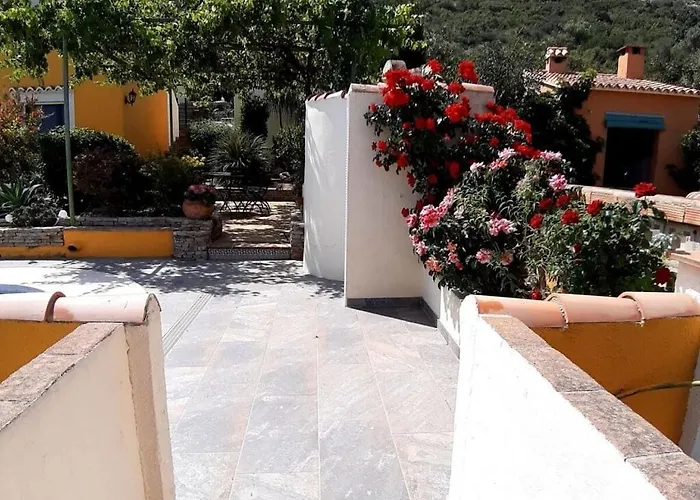 In The Caroline 德尼亚